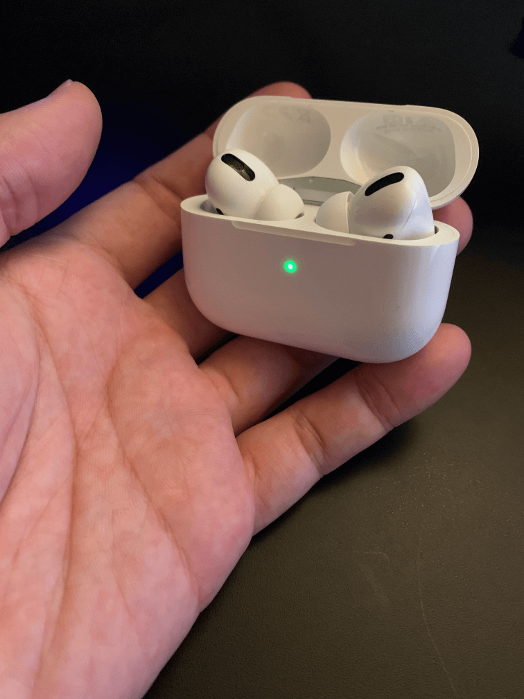 Apple AirPods Pro　外観